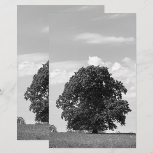 Oude boom briefpapier (Voorkant / Achterkant)