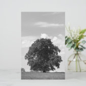 Oude boom briefpapier (Staand voorkant)