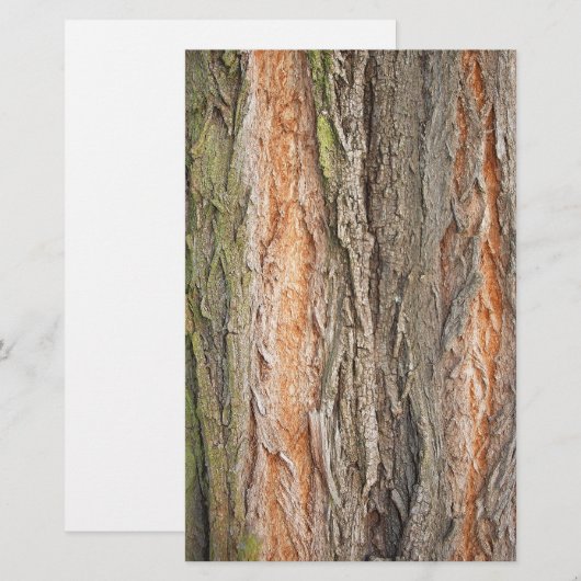 oude boom briefpapier (Voorkant / Achterkant)