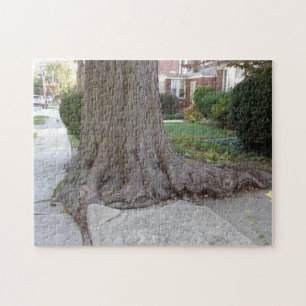 Oude boom en rots Damaging Sidewalk JigSaw Puzzle Legpuzzel