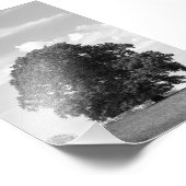 Oude boom foto afdruk (Hoek)
