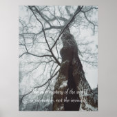 Oude boom in een Misty Forest Poster (Voorkant)