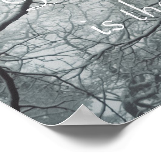 Oude boom in een Misty Forest Poster (Hoek)