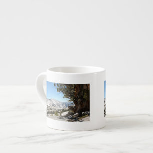 Oude boom in het Nationaal Park Yosemite Espresso Kop