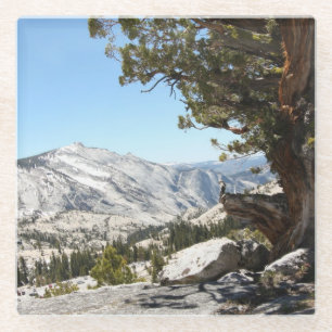 Oude boom in het Nationaal Park Yosemite Glazen Onderzetter
