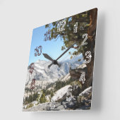 Oude boom in het Nationaal Park Yosemite Vierkante Klok (Hoek)