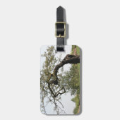 Oude boom in Italië Bagagelabel (Voorkant verticaal)