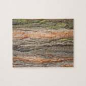 oude boom legpuzzel (Horizontaal)