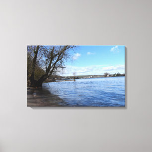 Oude boom op de rivieroever van Nierstein in Duits Canvas Afdruk