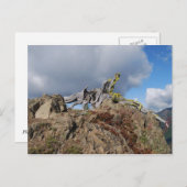 oude boom op een berg briefkaart (Voorkant / Achterkant)