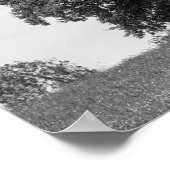 Oude boom poster (Hoek)