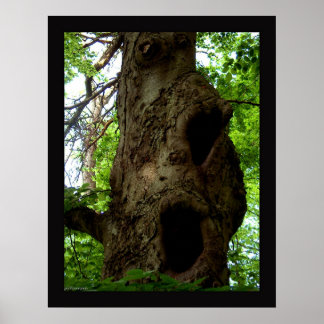 Oude boom poster