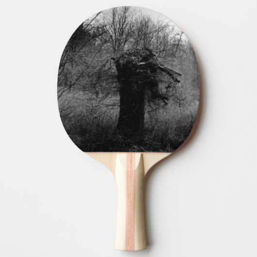 Oude boom tafeltennisbatje (Voorkant)