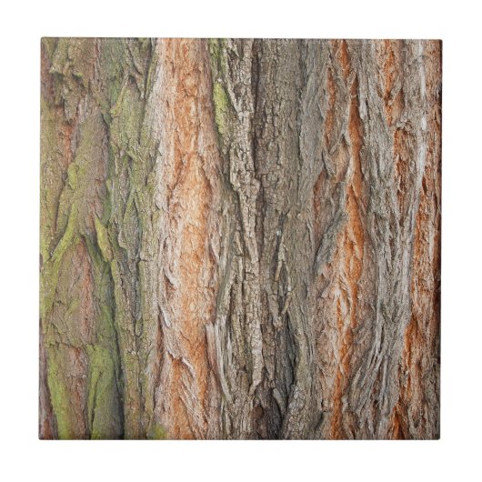 oude boom tegeltje (Voorkant)