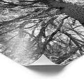 Oude boom verwijderen foto afdruk (Hoek)