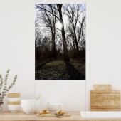 Oude Boom, Winterse Zon Poster (Keuken)