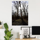 Oude Boom, Winterse Zon Poster (Thuiskantoor)