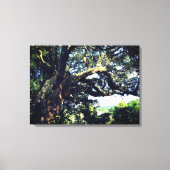 Oude boomfoto enkele druk canvas afdruk (Voorkant)