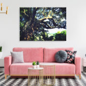 Oude boomfoto enkele druk canvas afdruk (Insitu (Woonkamer))