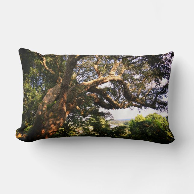 Oude boomfoto Lumbar Pillow Kussen (Voorkant)