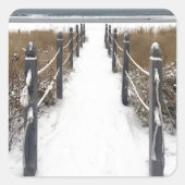 oude boomgaard vierkante sticker (Voorkant)