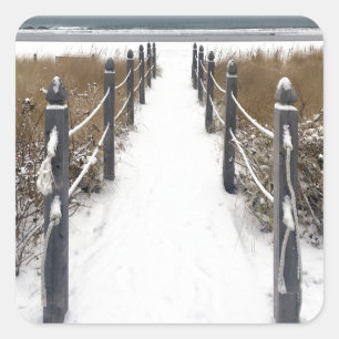 oude boomgaard vierkante sticker