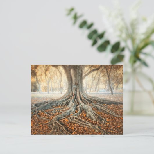 Oude boomwortels briefkaart (Staand voorkant)