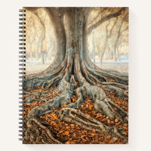 Oude boomwortels notitieboek (Voorkant)