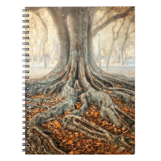 Oude boomwortels notitieboek (Voorkant)