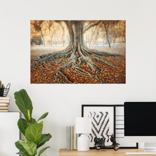 Oude boomwortels poster (Thuiskantoor)