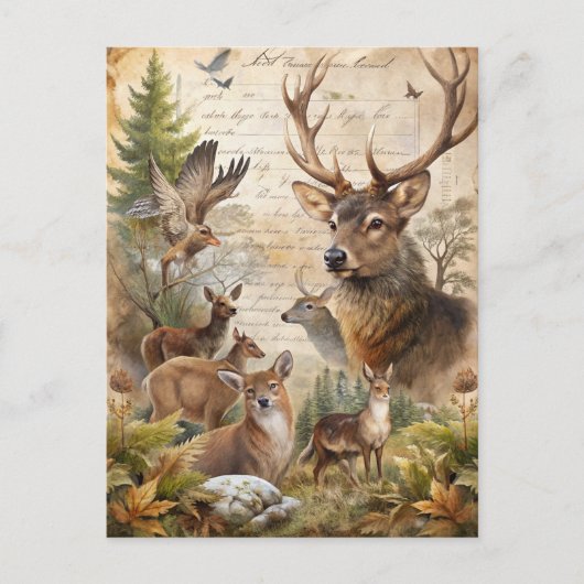 Oude bos herten herfstloof antiek briefkaart (Voorkant)