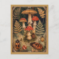 Oude bos-paddenstoelen herfstgroet