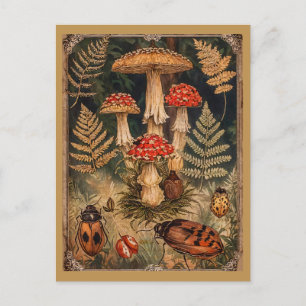 Oude bos-paddenstoelen herfstgroet  briefkaart