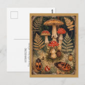 Oude bos-paddenstoelen herfstgroet briefkaart (Voorkant / Achterkant)