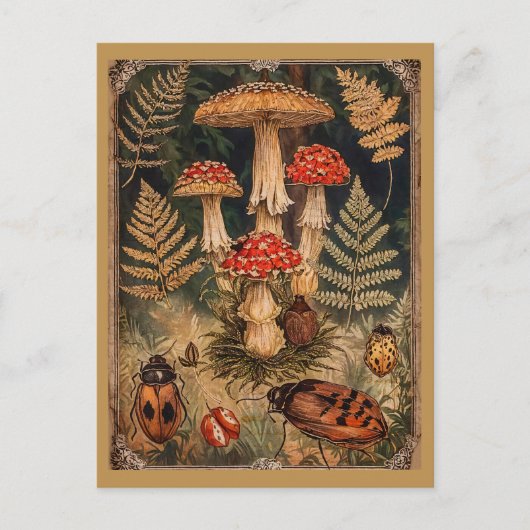 Oude bos-paddenstoelen herfstgroet briefkaart (Voorkant)