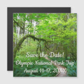 Oude Bos Wandelroute in Olympic National Park (Voorkant / Achterkant)