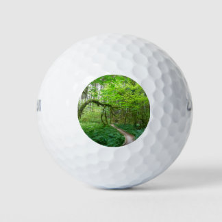Oude Bos Wandelroute in Olympic National Park Golfballen