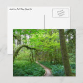 Oude Bosroute in het Olympic National Park Briefkaart (Voorkant / Achterkant)