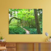 Oude Bosroute in Olympic National Park Canvas Afdruk (Insitu (Woonkamer))