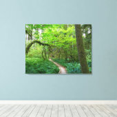 Oude Bosroute in Olympic National Park Canvas Afdruk (Insitu (Houten vloer))