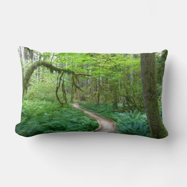 Oude Bosroute in Olympic National Park Kussen (Voorkant)
