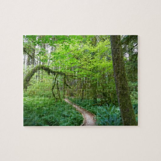Oude Bosroute in Olympic National Park Legpuzzel (Horizontaal)