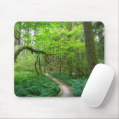 Oude Bosroute in Olympic National Park Muismat (Met muis)