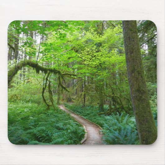 Oude Bosroute in Olympic National Park Muismat (Voorkant)