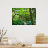 Oude Bosroute in Olympic National Park Poster (Keuken)