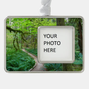 Oude Bosroute in Olympic National Park Verzilverd Omlijst Ornament