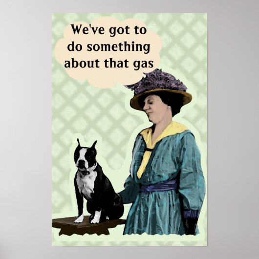 Oude BostonTerrier Poster (Voorkant)