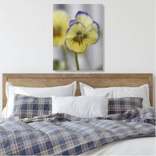 Oude botanische afbeelding - gele en paarse vioolt canvas afdruk
