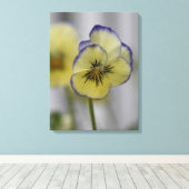 Oude botanische afbeelding - gele en paarse vioolt canvas afdruk (Insitu (Houten vloer))