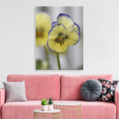 Oude botanische afbeelding - gele en paarse vioolt canvas afdruk (Insitu (Woonkamer))